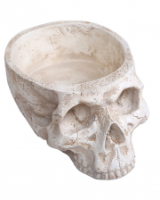 Skull Bowl 28cm 