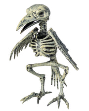 Mud Pie Halloween Coffin Cracker Dish & Skeleton Towel Set – Spooky 2-Piece Decor - View #7