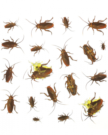 Zevmi 150 Stück Fake Kakerlaken Halloween - Realistische PVC-Kakerlaken Für Streiche & Deko