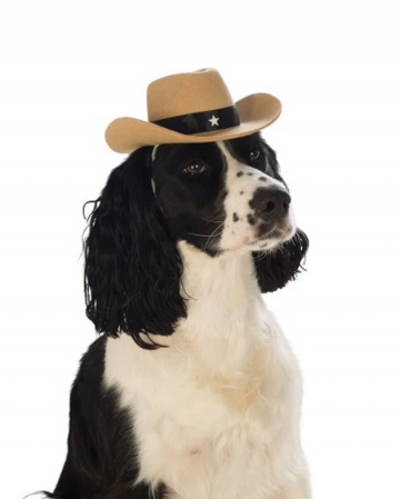 Brown cowboy hat for dog S/M