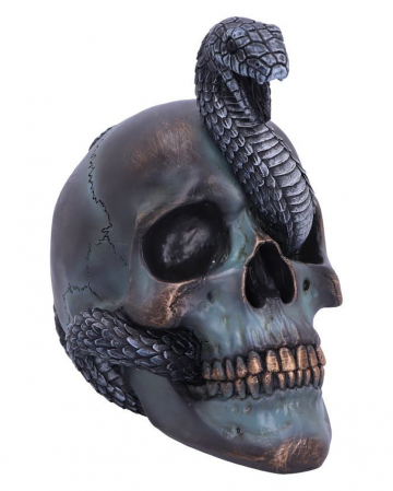 Serpentine Fate Gothic Snake Skull 19cm