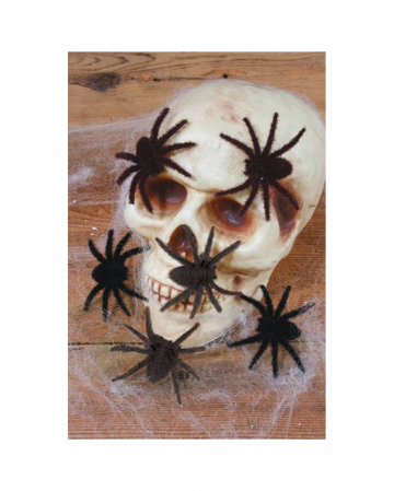 Hairy Mini Spiders Set Of 6 