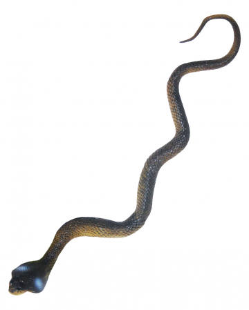 cobra snake toy