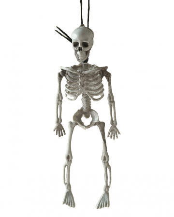 Skeleton Hanging Figure 18cm for Halloween buy ????