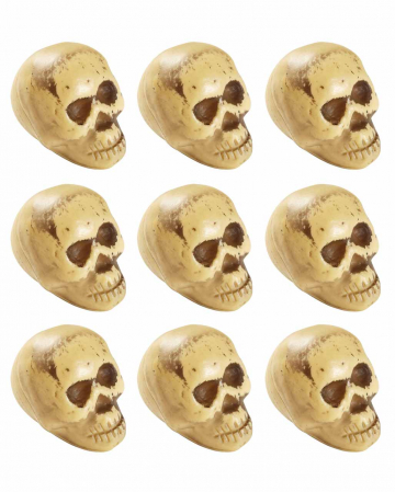 Mini skulls on the net 