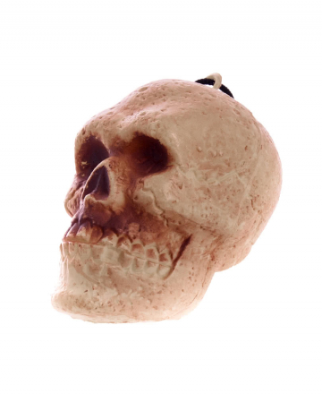 Miniatur Totenschädel Halloween Deko | Horror-Shop.com