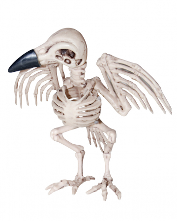 Raven Skeleton Halloween Figure 19 Cm order | horror-shop.com