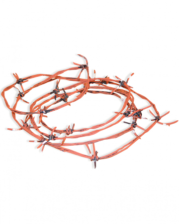 Rostiger Stacheldraht 30m 