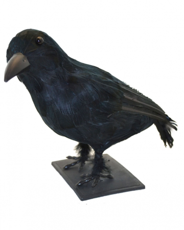Black Raven 32 Cm 