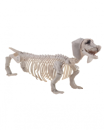 Skeleton Dachshund plastic 