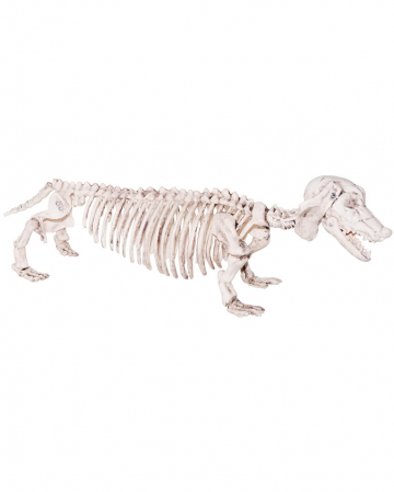 skeleton dog plush