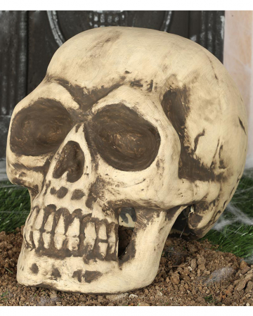 Skull 32cm 