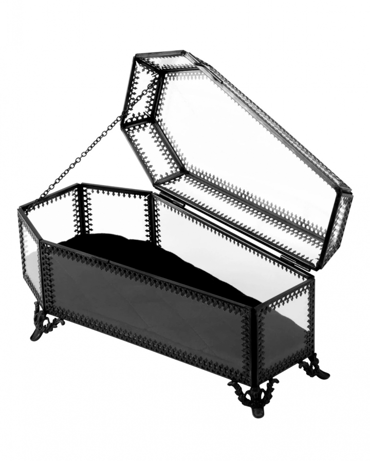 KILLSTAR Glass Casket Casket as a present