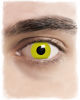 Kontaktlinsen gelbe Rabenaugen Motiv 