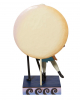 A Moonlite Dance - Jack Skellington & Sally Figur 23cm 