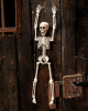 Halloween Skelett 40 cm 