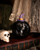 Boo Y'all Halloween Jack O'Lantern With LED 14cm 