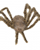 Brown Hairy Spider As Halloween Decoration 49cm 