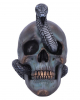 The Fate Of The Snake Gothic Skull 19cm 
