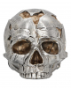 Fracture Skull 16cm 