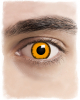 Orange Werewolf Contact Lenses 