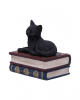Black Cat On Spell Books Box 11,7cm 