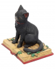 Black Cat With Witch Book 