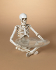 Sitzendes Skelett mit Servierteller 27 cm 