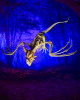 Skeleton Dragon With Positionable Wings 90cm 