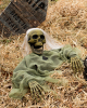 Skeleton Gravebreaker Zombie 