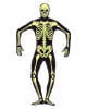 Skeletal skinsuit Glow in the Dark S