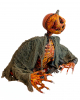 Rotten Pumpkin Monster With Arms & Light 56cm 