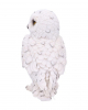 White Snowy Owl Figurine 13,3cm 