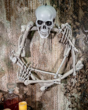 Totenkopf VI Schädel Skull Skelett Kopf Halloween Party Horror Gothic Deko Prop