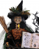 Illuminated Fairy Witch With Magic Book & Raven 50cm 
