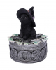 Witch Cat On Pentagram Box 15cm 