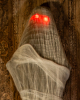 Mummy In Cocoon With LED Eyes 