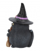 Schwarze Katze mit Hexenhut 