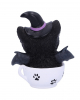 Black Witch Kitten In Teacup 