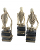 Skeletons Sitting On Books Set Of 3 35cm 