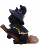 Tabitha Cat On Witches Broom 