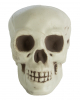 Skulls 12,5cm In Net 6 Pieces 