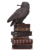 Magic Owl On Stack Of Books 14cm 