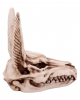 Anubis Totenkopf Figur 17cm 