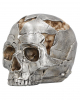 Fracture Skull 16cm 