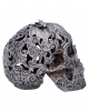 Engraved Drakos Skull With Dragon Motif 19.5cm 