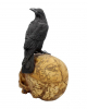 Salem Skull With Raven 
