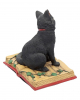 Black Cat With Witch Book 