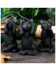 Three Wise Black Cats 