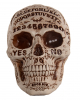 Ouija Fortune Teller Skull 18cm 